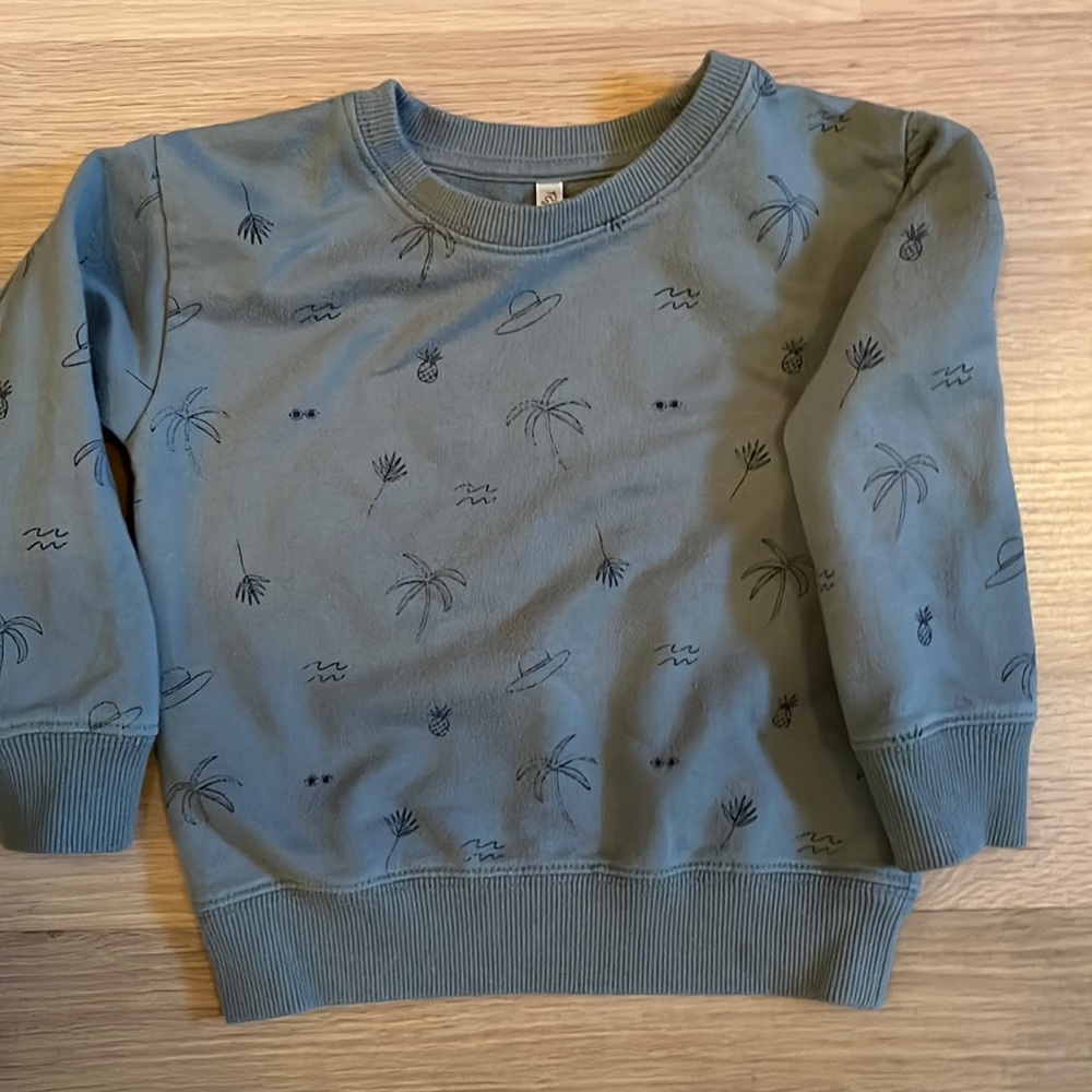 Rylee + Cru Sweatshirt | size 12-18 months